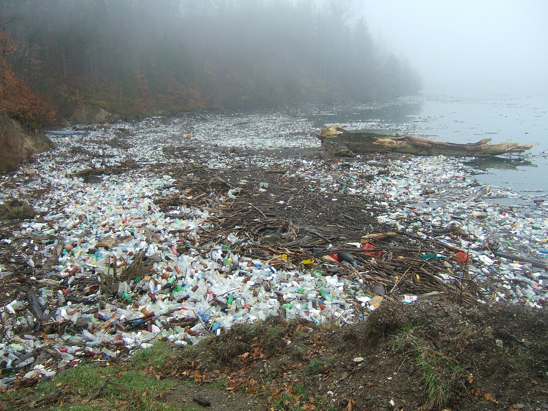 World Oceans Day 2018 - Clean the Ocean