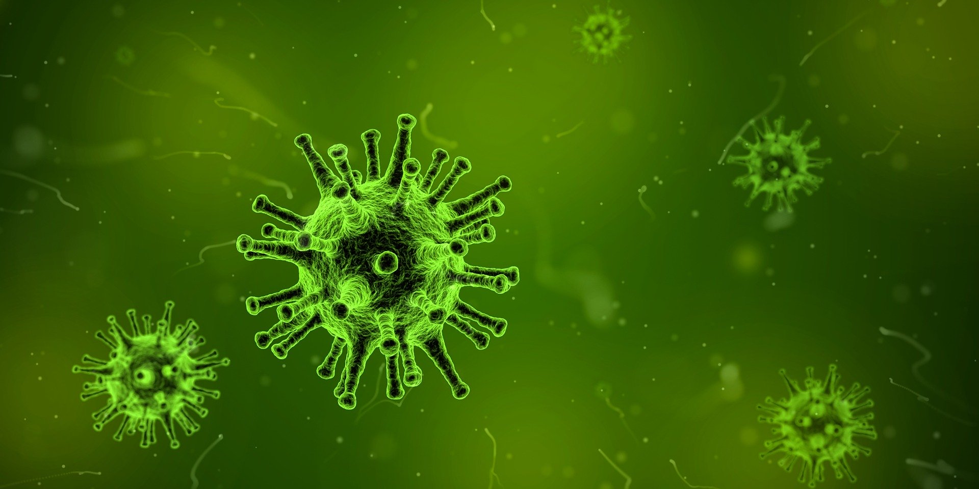 Trotz Corona Tauchen Covid-19 Virus Tauchtauglichkeit