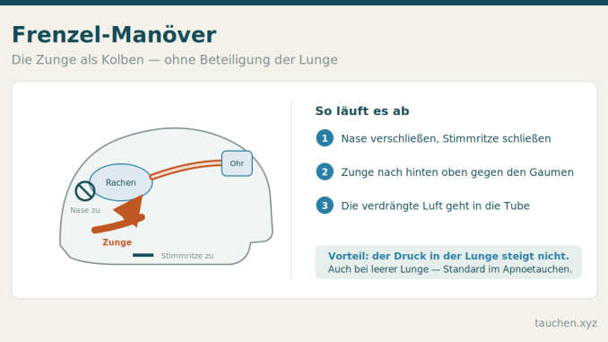 Schema eines Kopfes im Querschnitt: Bei verschlossener Nase und geschlossener Stimmritze drückt die Zunge Luft aus dem Mund-Rachen-Raum in die Eustachische Röhre.