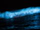 Eine brechende Welle leuchtet in der Dunkelheit blau — Biolumineszenz im Meerwasser