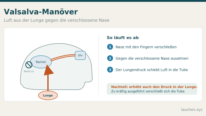Schema eines Kopfes im Querschnitt: Bei verschlossener Nase schiebt Luft aus der Lunge über den Rachen durch die Eustachische Röhre ins Mittelohr.