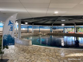 Rundes Tauchbecken in einer Halle mit Felsrand, Bojen und Strandmotiv an der Wand