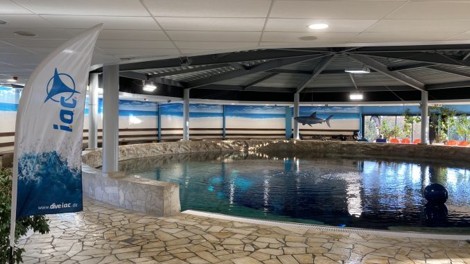 Rundes Tauchbecken in einer Halle mit Felsrand, Bojen und Strandmotiv an der Wand
