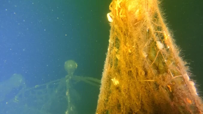 Ein dicht bewachsenes Netzteil steht senkrecht im Wasser, gehalten von den Schwimmern der Kopfleine, im Vordergrund ein Auftriebskörper mit Leinen