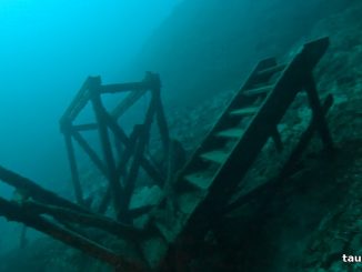 Rüttlertreppe im klaren türkisen Wasser des Kreidesees Hemmoor
