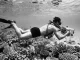 Schwimmtaucher der 1950er Jahre mit Kreislaufgerät und großem Unterwasser-Kameragehäuse über einem Korallengrund.