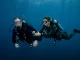 Ein Taucher hält seinen Partner im Freiwasser mit beiden Händen fest und stabilisiert ihn