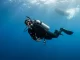 Taucher hält im Mittelwasser inne und dreht den Kopf, während im Hintergrund ein Motorboot über ihn hinwegfährt.
