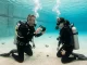 Ein Tauchlehrer kniet im flachen Wasser vor einem Tauchschüler und zeigt ihm eine Übung.
