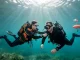 Zwei Taucher üben im Rescue Diver Kurs unter der Wasseroberfläche eine unterstützende Rettungssituation.