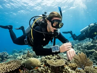 Tauchanfänger prüft unter Wasser einen Tauchcomputer für Einsteiger über einem Korallenriff.