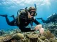Tauchanfänger prüft unter Wasser einen Tauchcomputer für Einsteiger über einem Korallenriff.