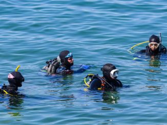 Vier Taucher in Neoprenanzügen mit Maske und Schnorchel warten an der Wasseroberfläche auf das Zeichen zum Abtauchen