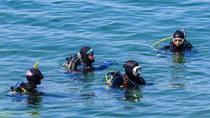 Vier Taucher in Neoprenanzügen mit Maske und Schnorchel warten an der Wasseroberfläche auf das Zeichen zum Abtauchen