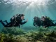 Tauchlehrerin begleitet zwei Taucher während einer Tauchlehrer Ausbildung unter Wasser.