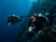 Zwei Taucher im Deep Diver Specialty halten in großer Tiefe Sichtkontakt und prüfen ihre Instrumente.