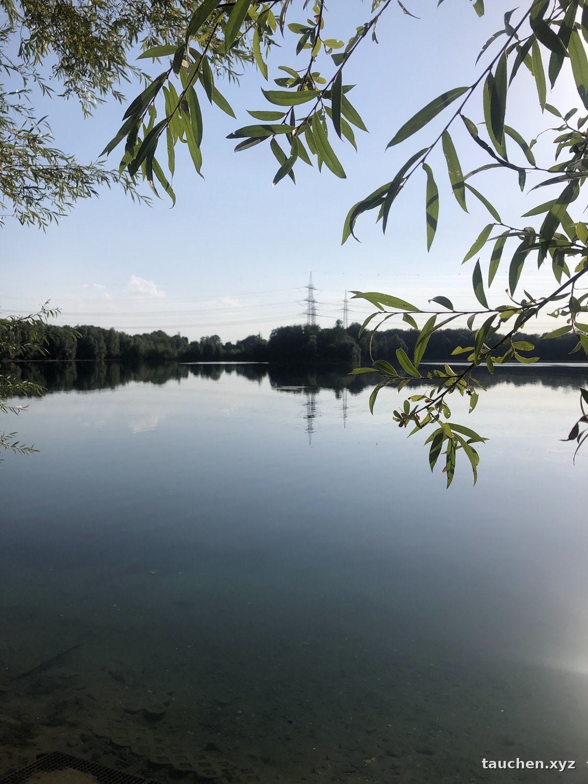 Ruhige Wasserfläche mit bewaldetem Ufer und Hochspannungsmasten am Horizont, Weidenzweige im Vordergrund
