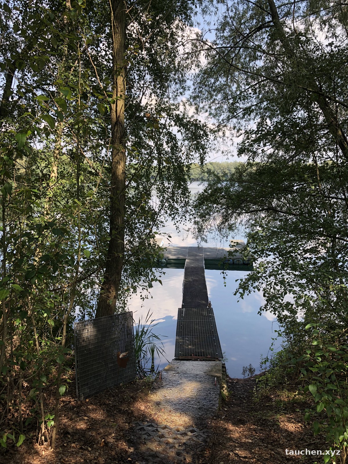Schattiger Pfad zwischen Bäumen, der auf einen Steg am See zuführt