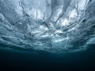 Blick von unten gegen die Eisdecke eines zugefrorenen Sees; darunter klares, nach unten dunkler werdendes Wasser.