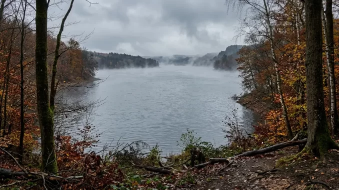 Mitteleuropaeischer See im spaeten Herbst mit Nebelschwaden ueber grauer Wasserflaeche und kahlen Ufterbaeumen.