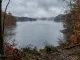 Mitteleuropaeischer See im spaeten Herbst mit Nebelschwaden ueber grauer Wasserflaeche und kahlen Ufterbaeumen.