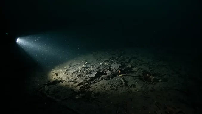 Kaltes dunkles Tiefenwasser eines Sees ueber feinem Schlammgrund, von einem einzelnen Lampenkegel beleuchtet.
