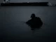 Schwimmer mit rucksackartigem Kreislaufgeraet bewegt sich bei Nacht an der Wasseroberflaeche, das Wasser hinter ihm bleibt blasenfrei.