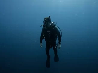 Einzelner Taucher im offenen Blauwasser dreht sich suchend um, ringsum nur leeres Wasser.