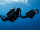 Zwei Taucher schweben nebeneinander im Freiwasser; der vordere dreht den Kopf und behaelt seinen Partner im Blick.