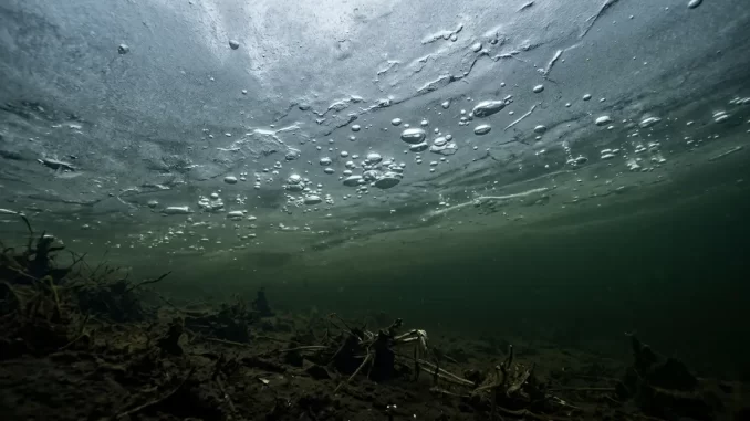 Blick von unten gegen die geschlossene Eisdecke eines Sees, darunter vollkommen ruhiges, truebgruenes Wasser.