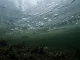 Blick von unten gegen die geschlossene Eisdecke eines Sees, darunter vollkommen ruhiges, truebgruenes Wasser.