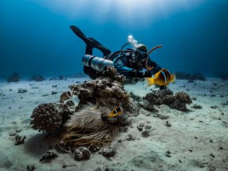 Sidemount Taucher mit zwei Flaschen