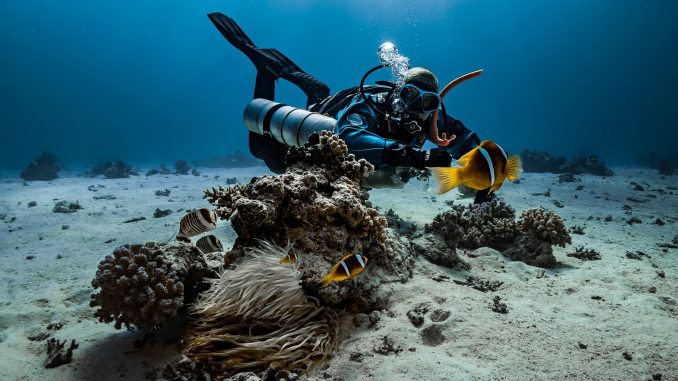 Sidemount_Taucher_mit_zwei_Flaschen Sidemount Taucher mit zwei Flaschen