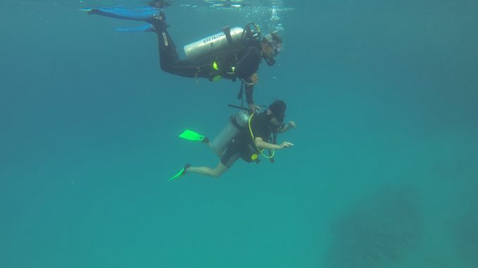 Tauchkurs Vergleich: PADI vs. SSI