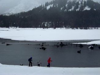 Tauchausrüstung winterfest machen