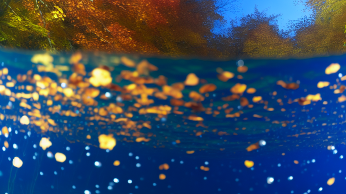 Nachhaltig tauchen im Herbst Nachhaltig tauchen im Herbst